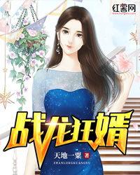 战龙狂婿,铁血柔情，逆袭人生传奇