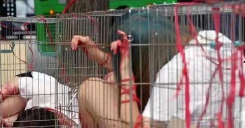 笼子里的女人,一位女性的抗争与救赎