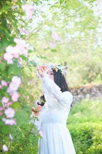 野蔷归途,探寻自然与心灵的和谐共鸣