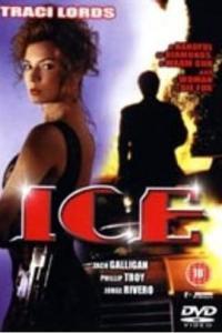 虎胆神偷,传奇盗贼的惊险冒险之旅