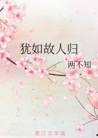 犹如故人来,探寻时光深处的情感共鸣